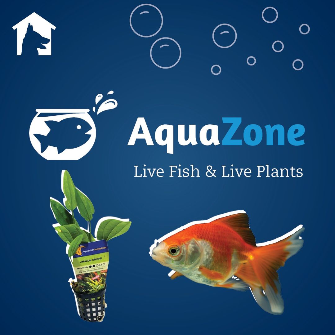 🐠 Did you know Pets Domain... - Bethania Lifestyle Centre | Facebook