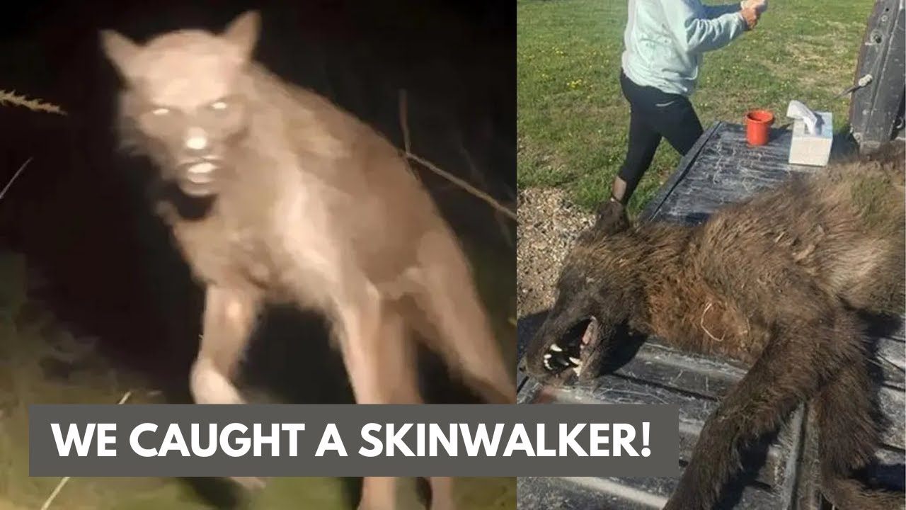 The Secret - TERRIFYING DISCOVERY AT THE SKINWALKER RANCH | Facebook