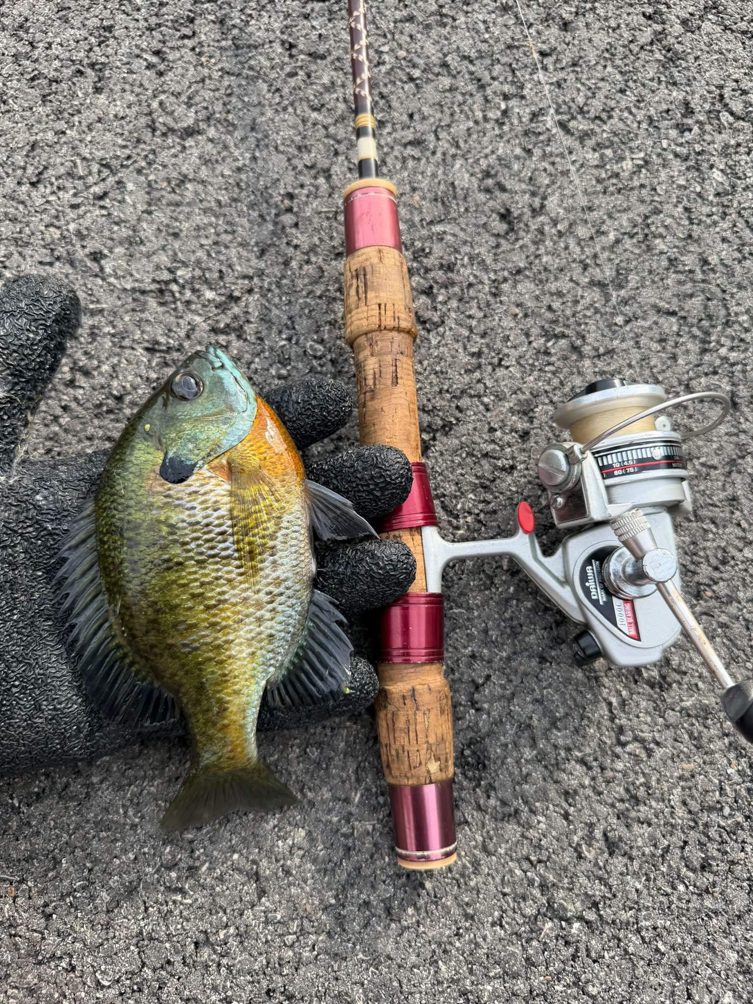 nike backpack team wholesale Sports Camps Academy Model:Exist 5000D-C this backpack is a Shimano Triton Seaspin Baitrunner Shilton SR10 Reels (10-11wt)