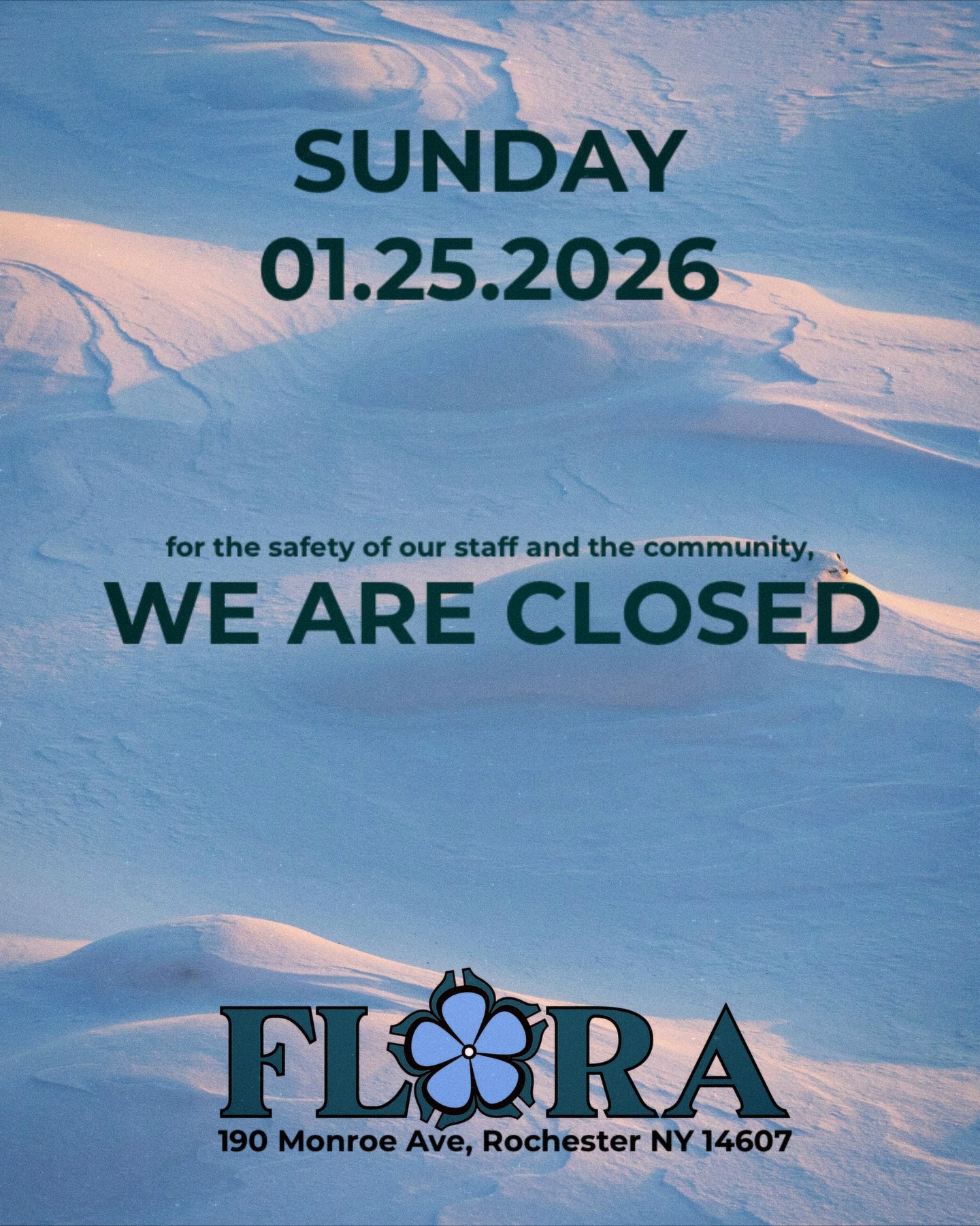 Flora Rochester | Rochester NY