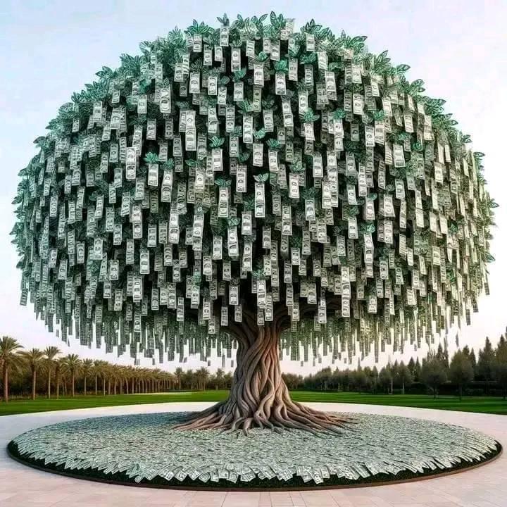 Let's grow together | Facebook