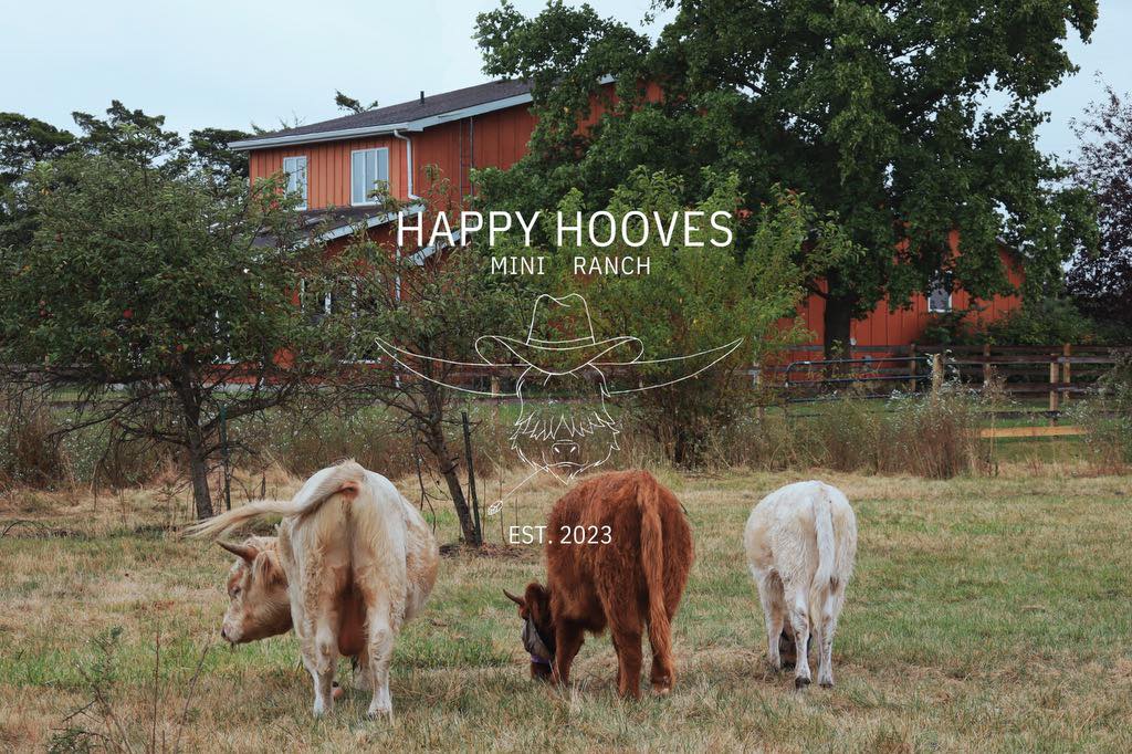 Happy Hooves Mini Ranch | Coal City IL