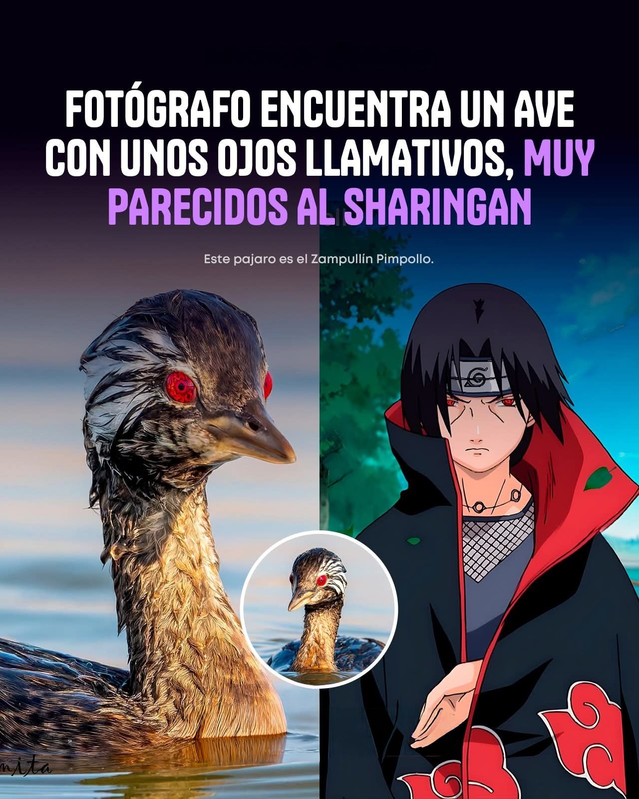 Imagen oficial Naruto Uzumaki junto a Hinata Hyuga en un momento 