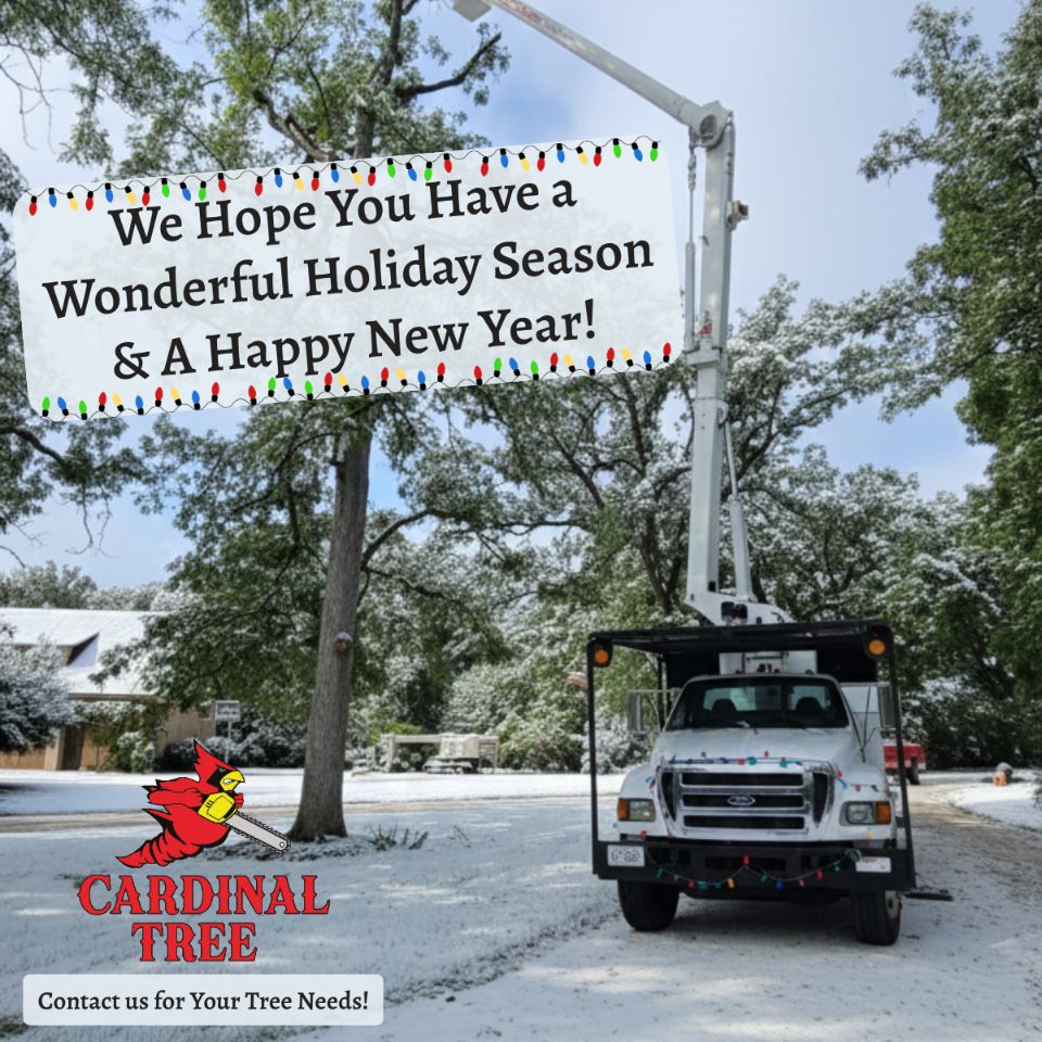 Cardinal Tree Service IL | Newark IL
