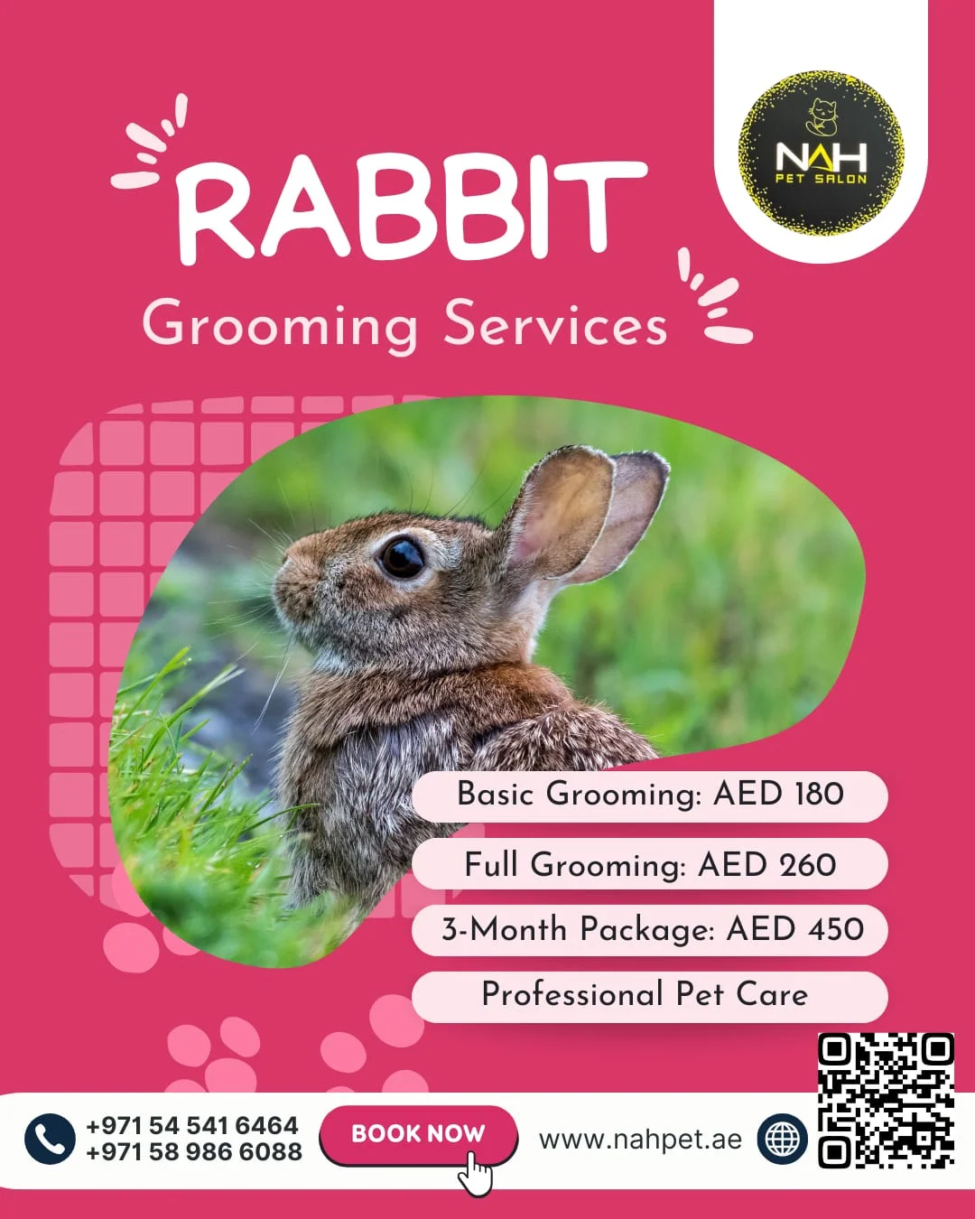 Noor - 🐰 Premium Rabbit Grooming at NAH Pet Salon! Your fluffy friend ...