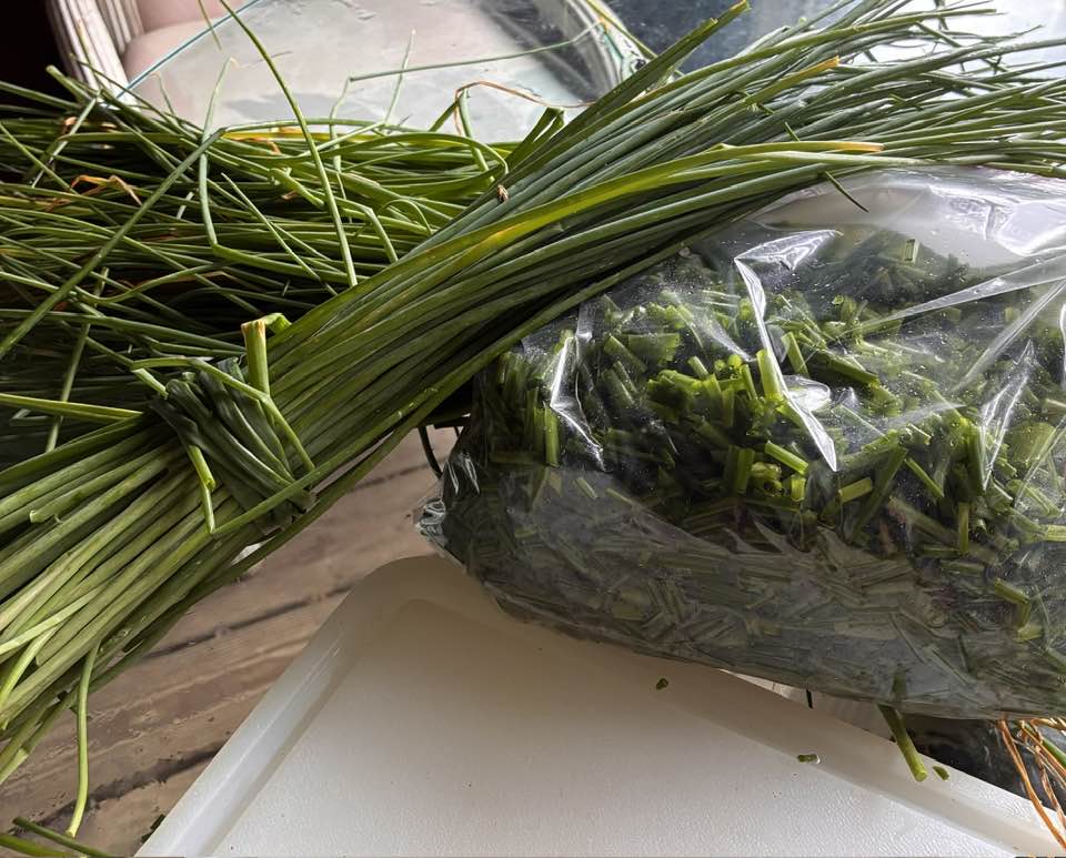 Could someone please tell me how to store fresh chives to make