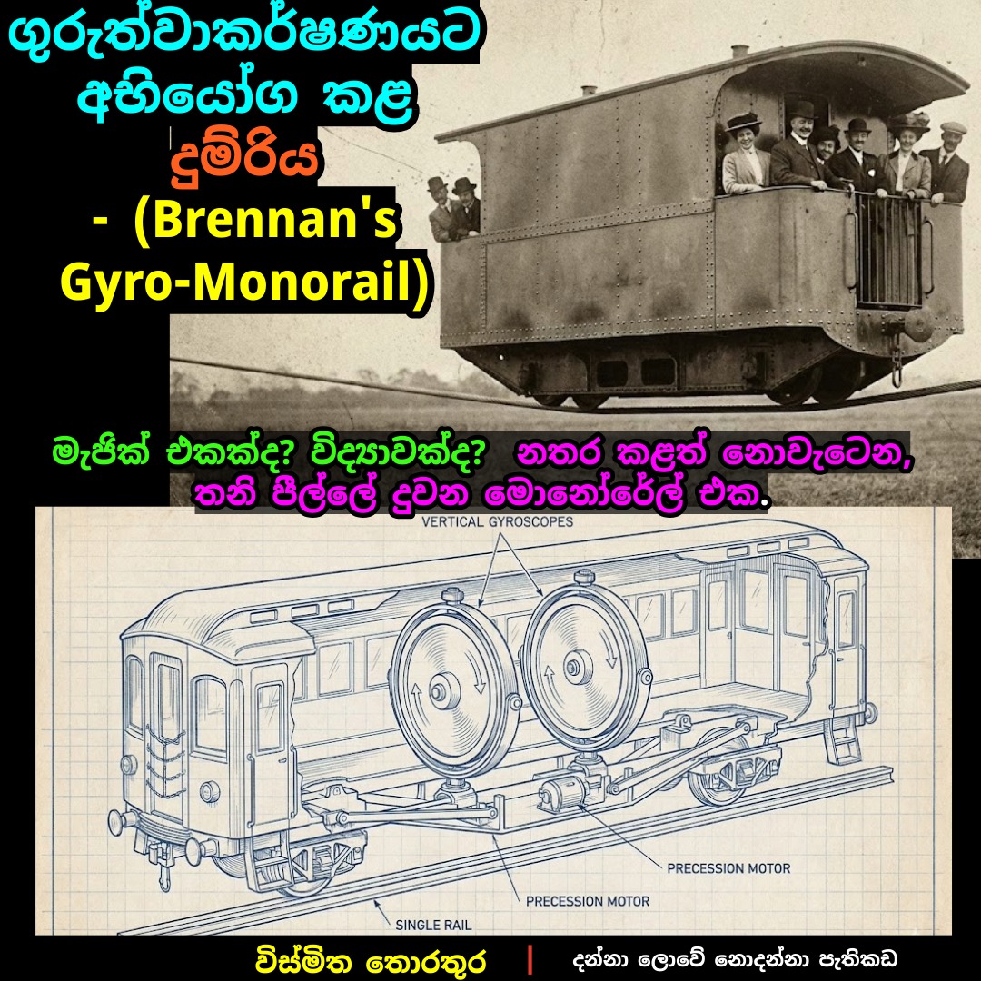 විස්මිත තොරතුරු