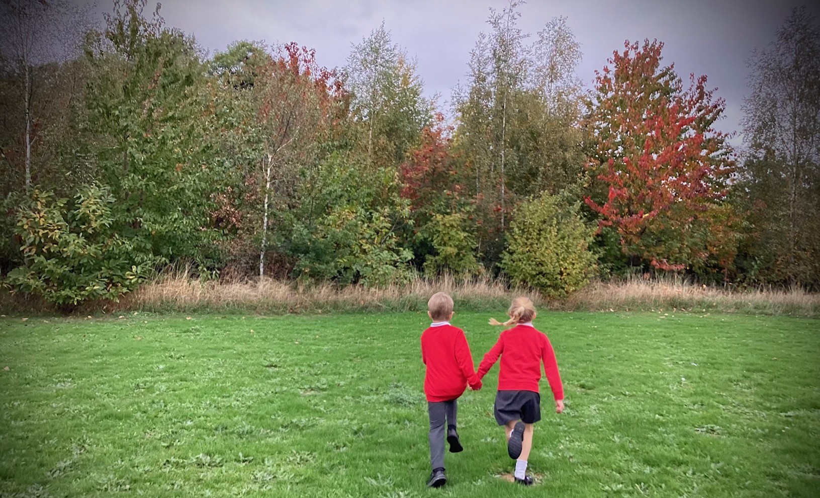 Unity Community Primary added a... - Unity Community Primary