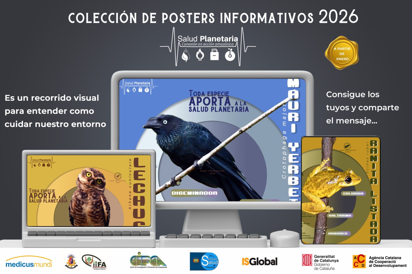 Salud - La colección de posters informativos 2026 celebra la diversidad ...