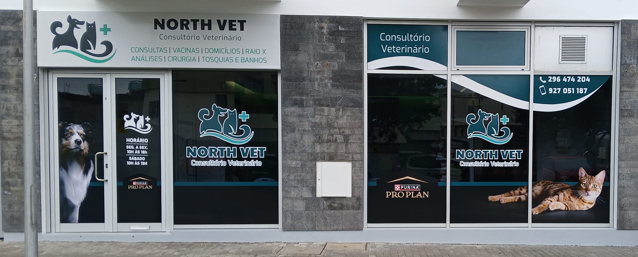 North vet | Ribeira Grande