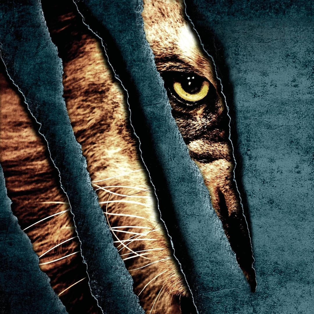 Part8 The prison is also under attack from a pack of wolves, it's to ...