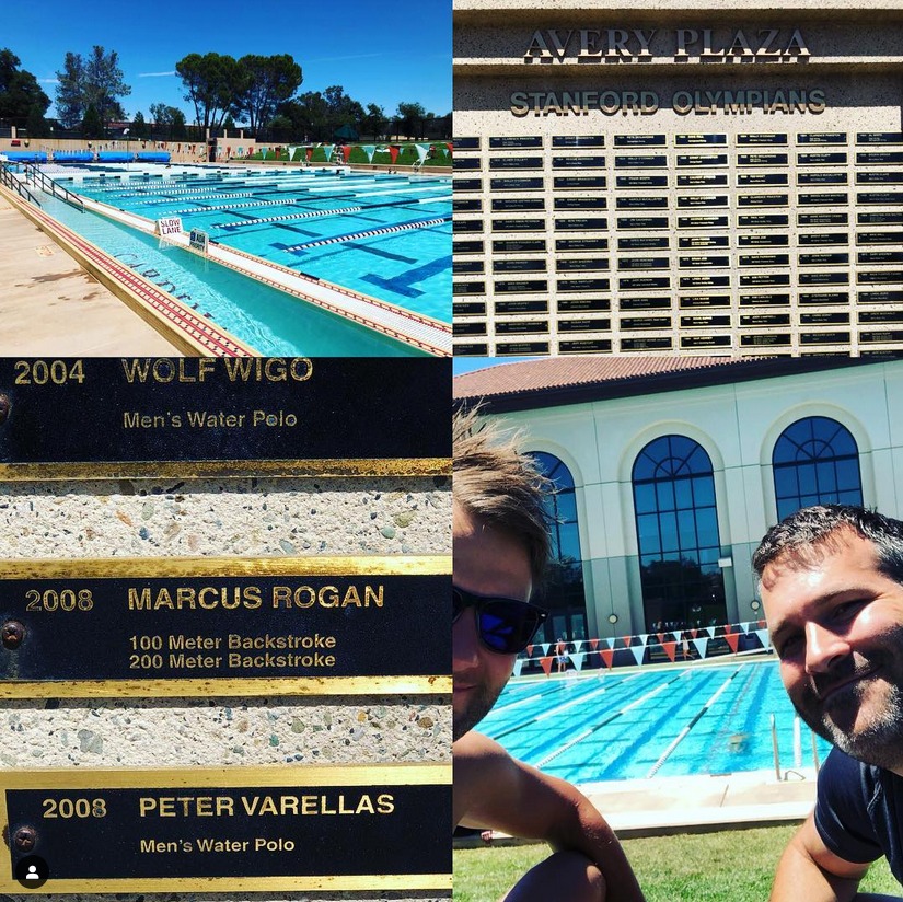 Markus Rogan Sports