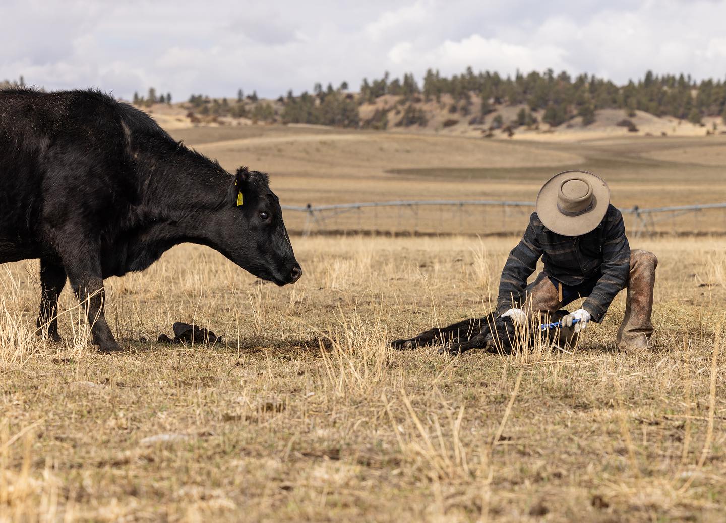 Hobble Diamond Ranch | Big Timber MT