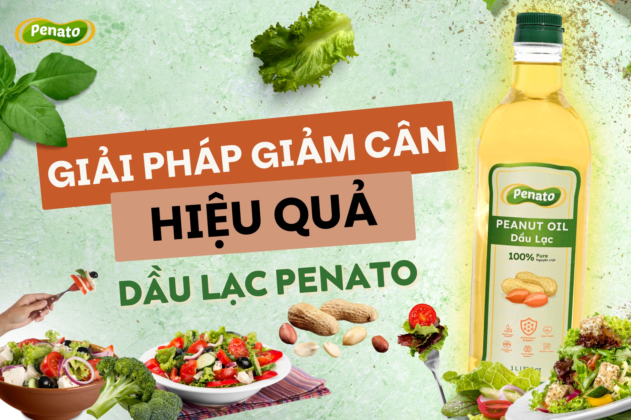 Dầu Lạc - Penato | Hai Phong