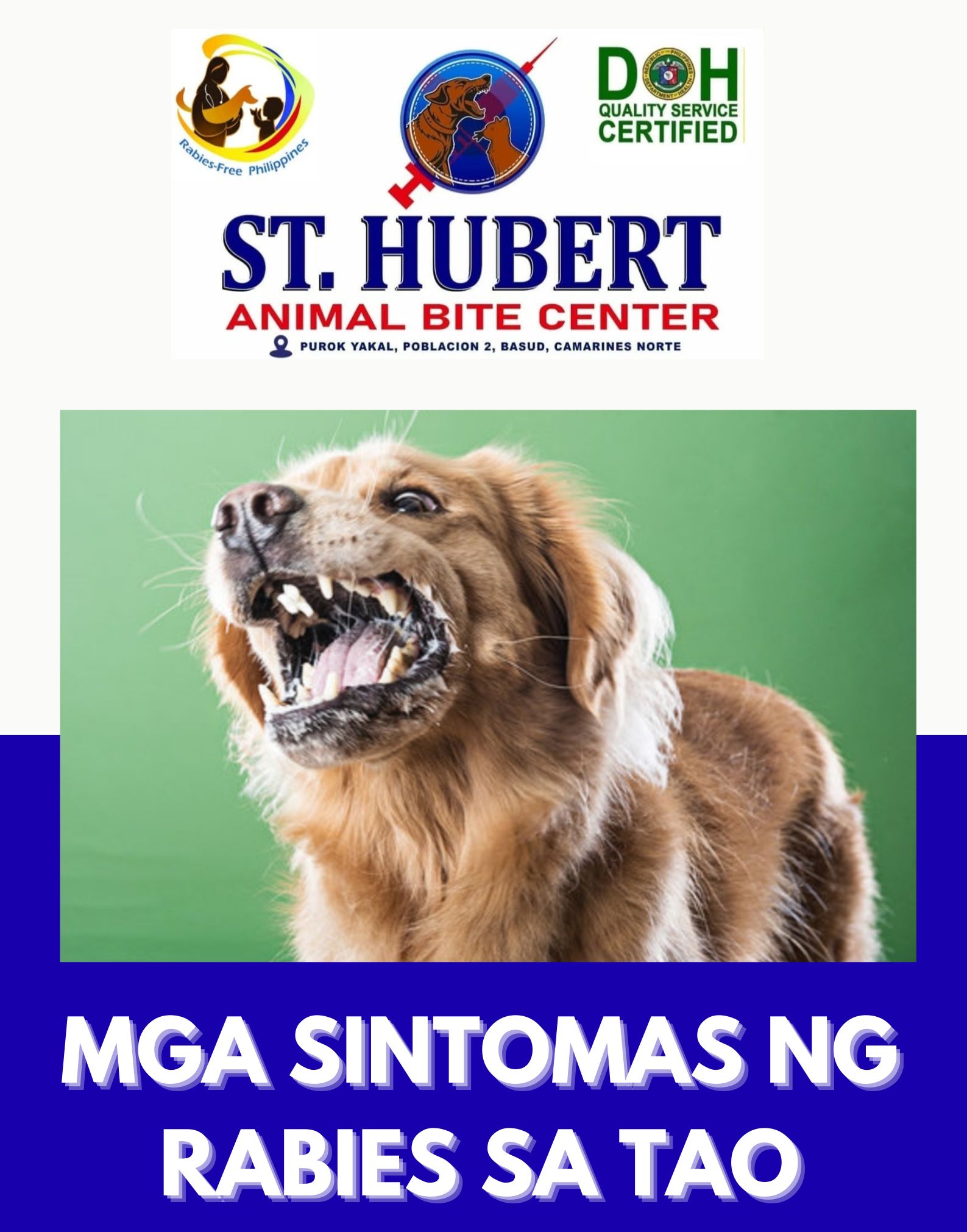 ⚠️ Sintomas ng Rabies sa... - St. Hubert Animal Bite Center | Facebook