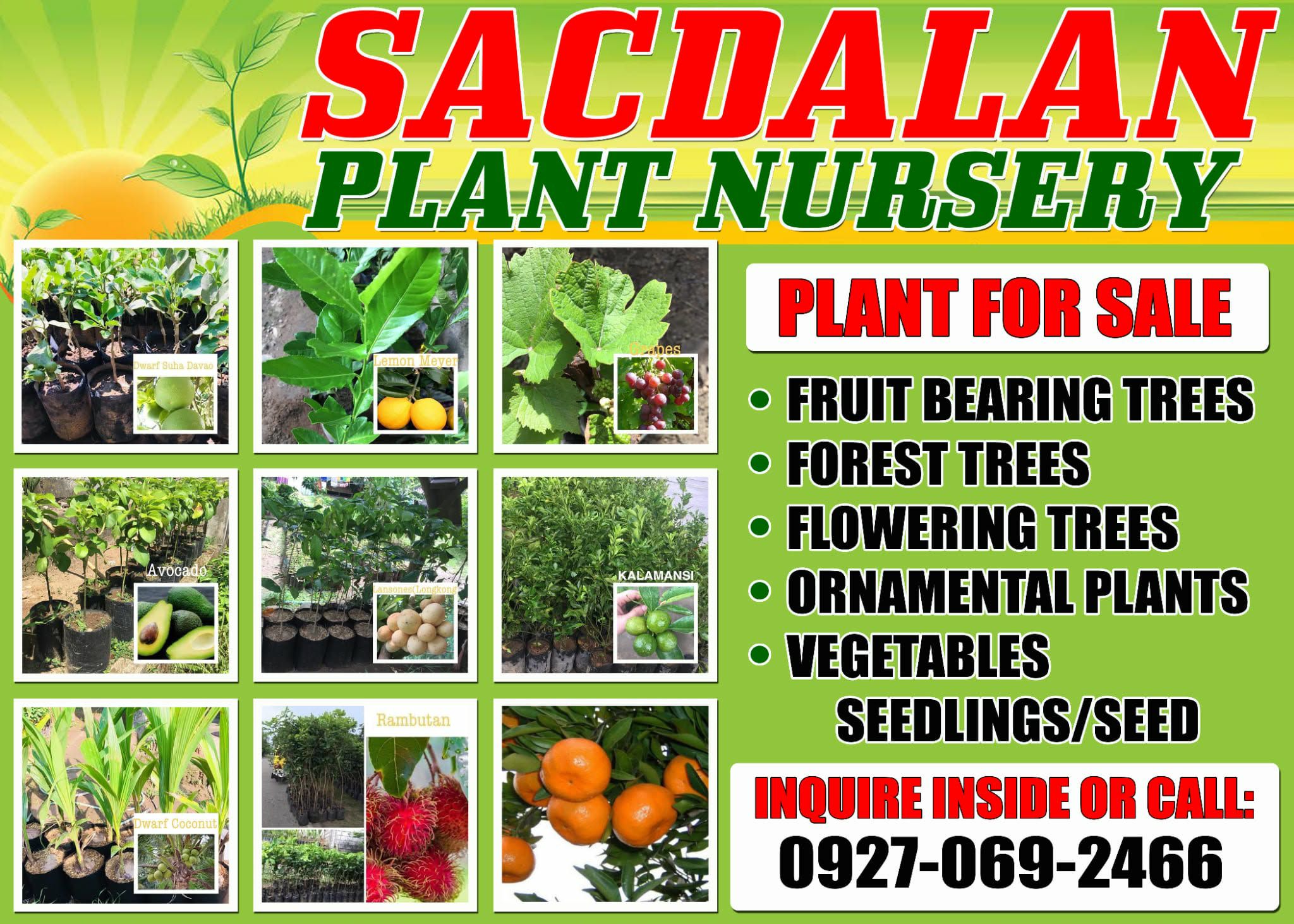 Sacdalan Plant Nursery Pangasinan