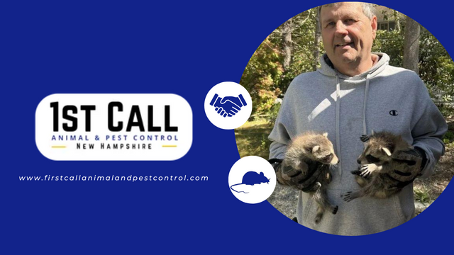 first call animal and pest control | Fairhaven MA