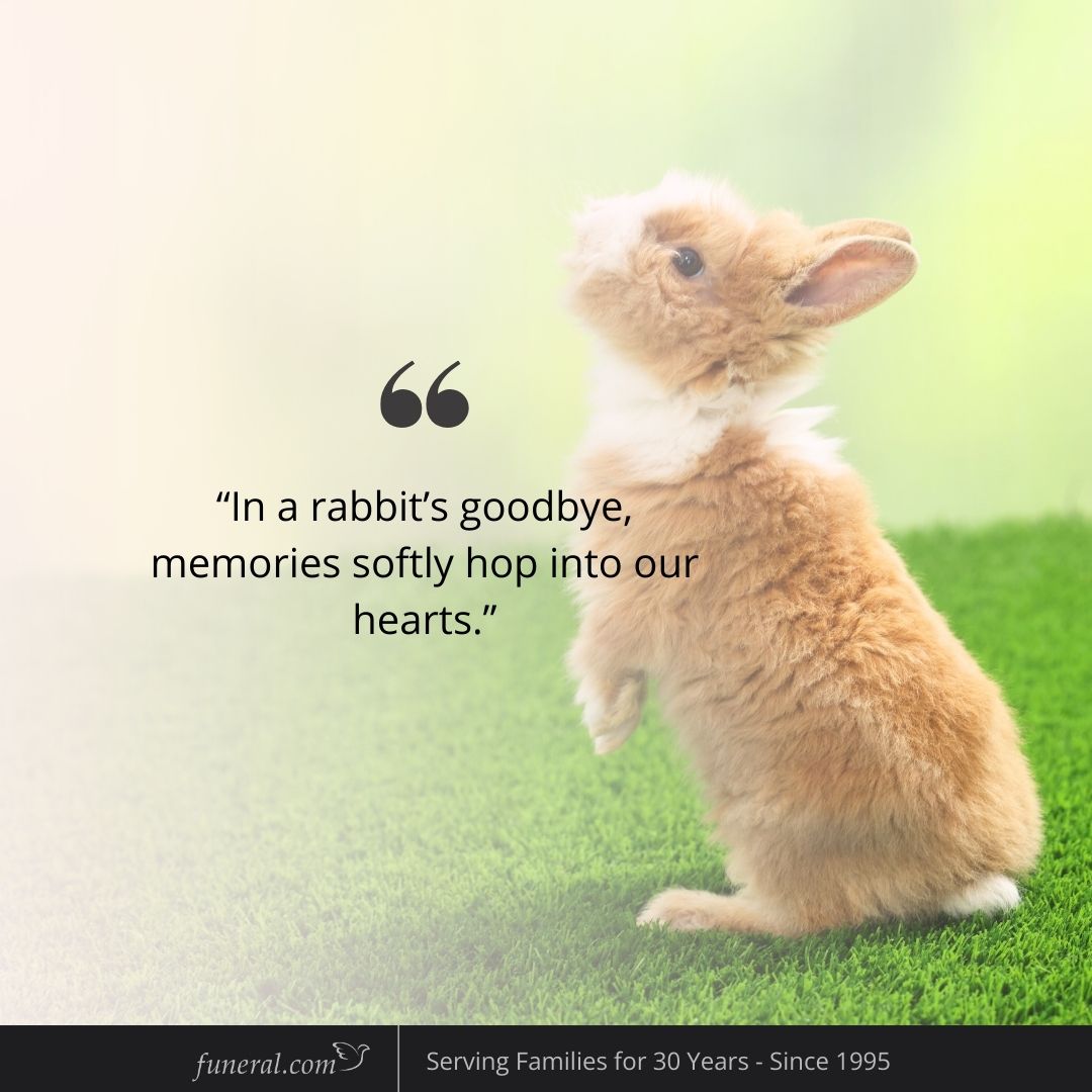 Funeraldotcom - Some goodbyes are quiet, but the love they leave behind ...