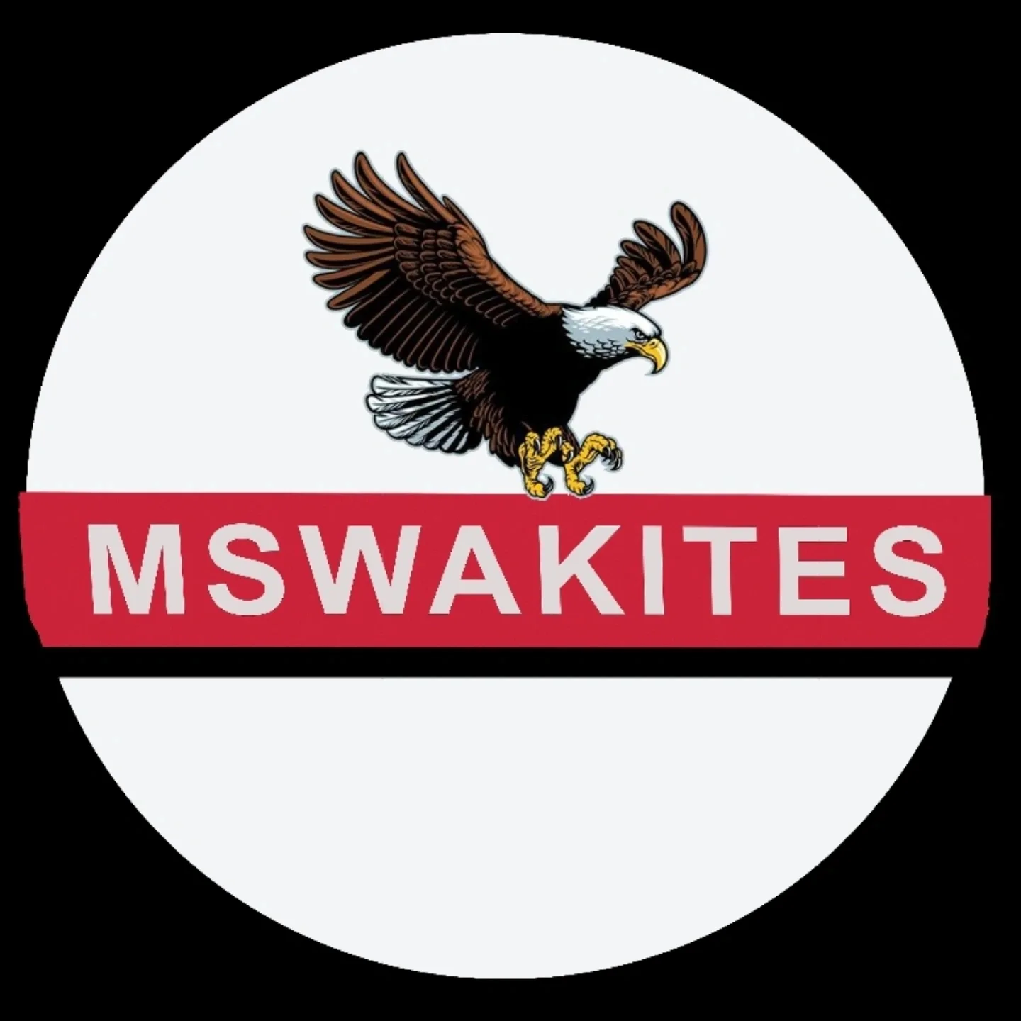MSWA KITES | Lahore