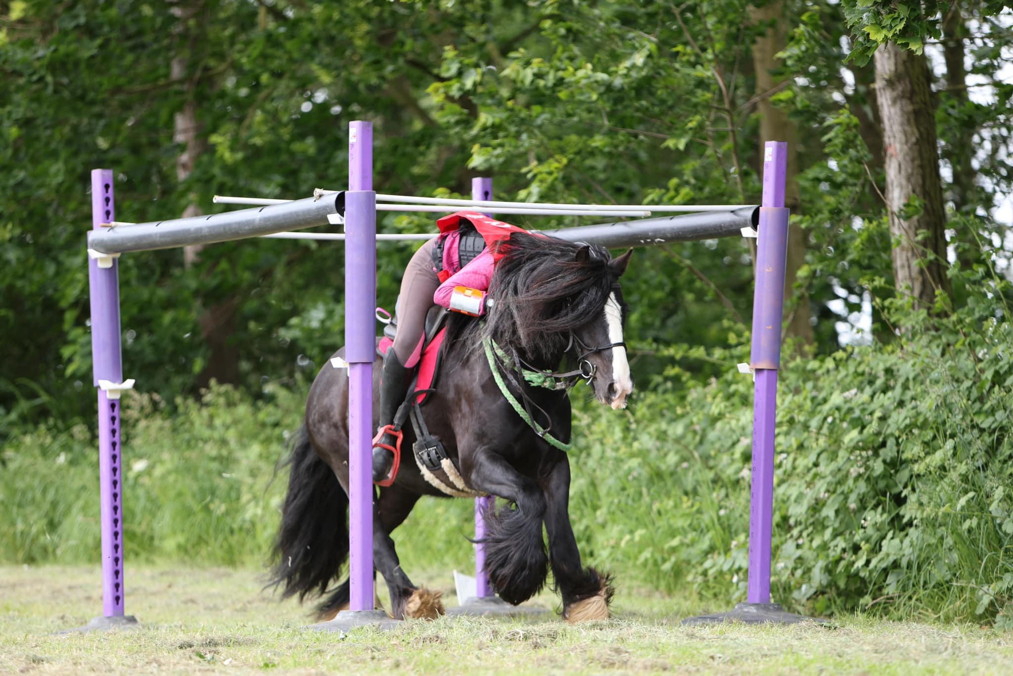 York & District Riding Club... - York & District Riding Club