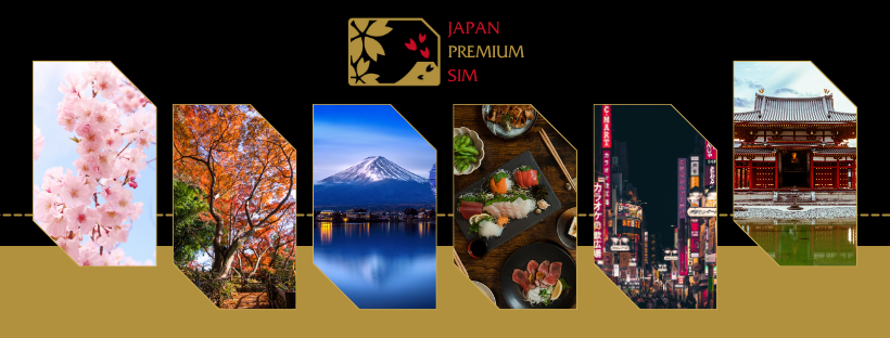 JAPAN PREMIUM SIM