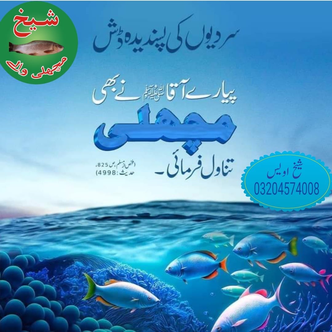 677-neelam block... - Sheikh Fish Corner Grill & Barbecue
