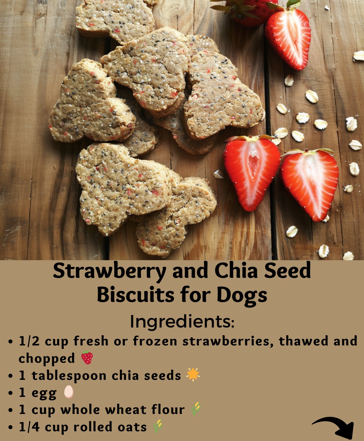 Chia Seed Biscuit Recipe For Dogs With Kidney Issues