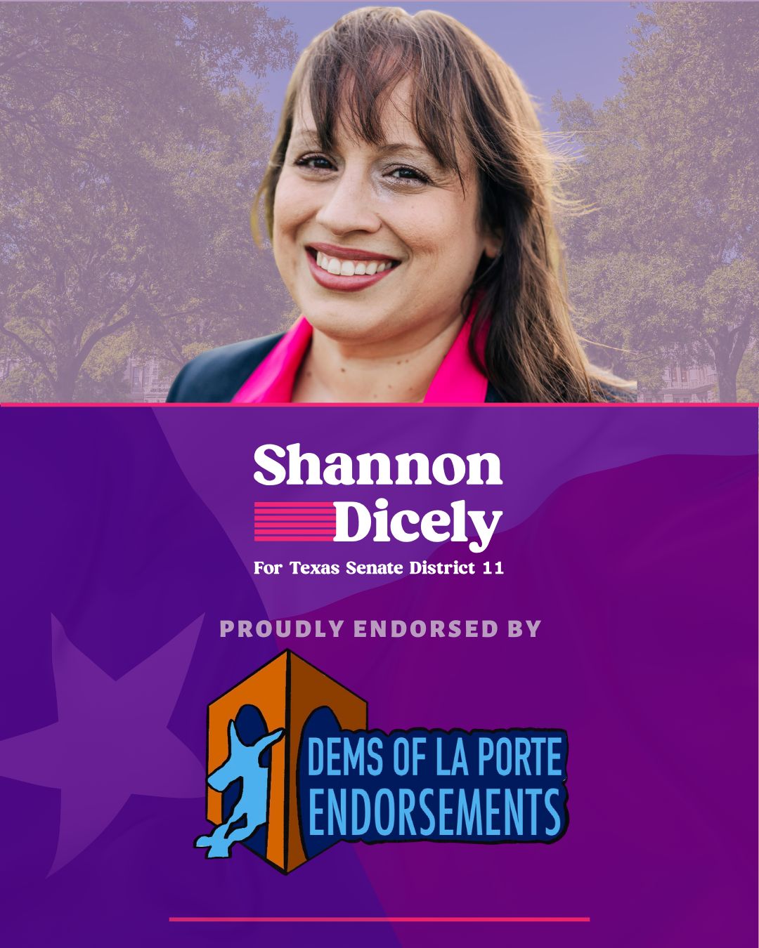 What an honor to be part... - Shannon Dicely for Texas Senate | Facebook