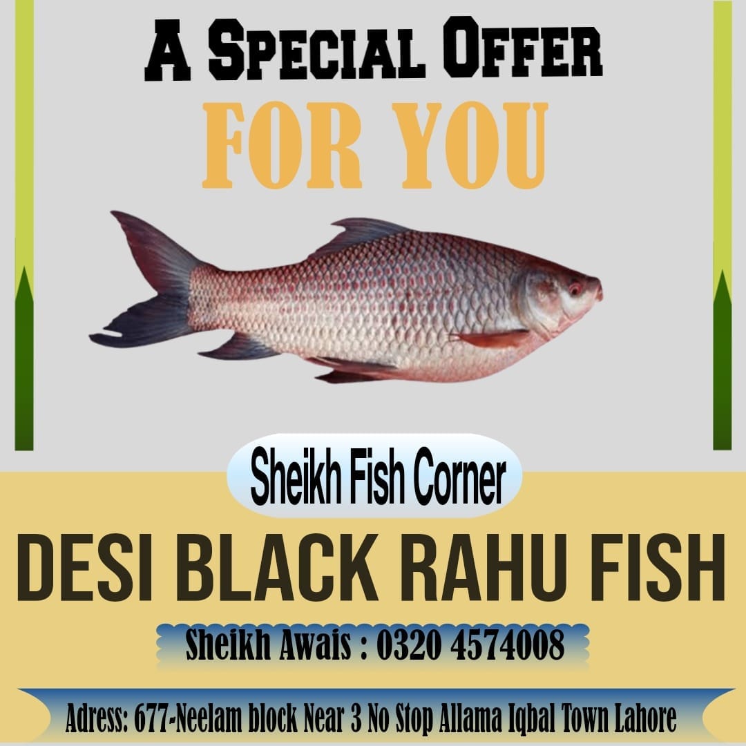 Sheikh Fish Corner Grill & Barbecue | Lahore