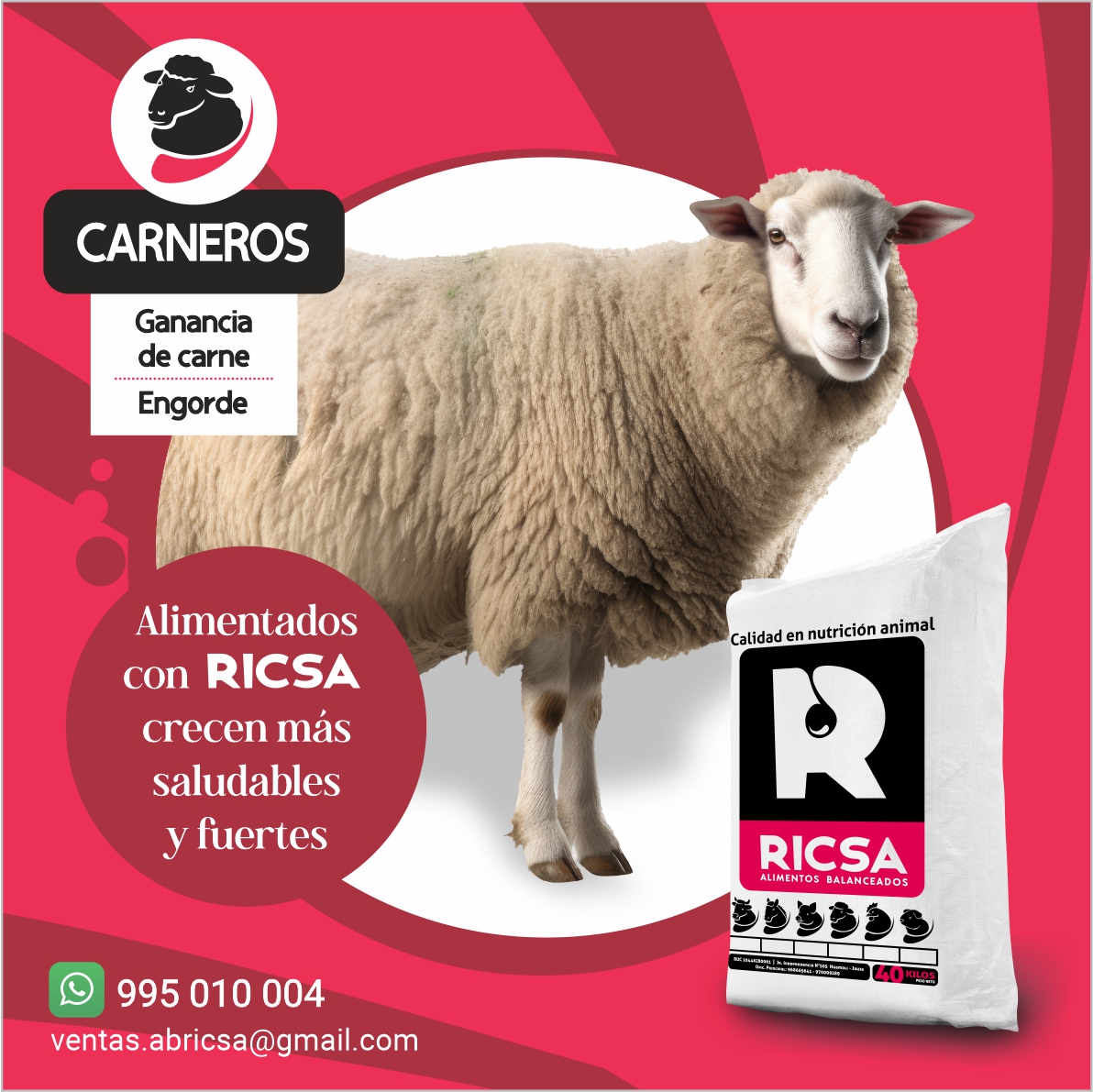 RICSA Alimentos Balanceados