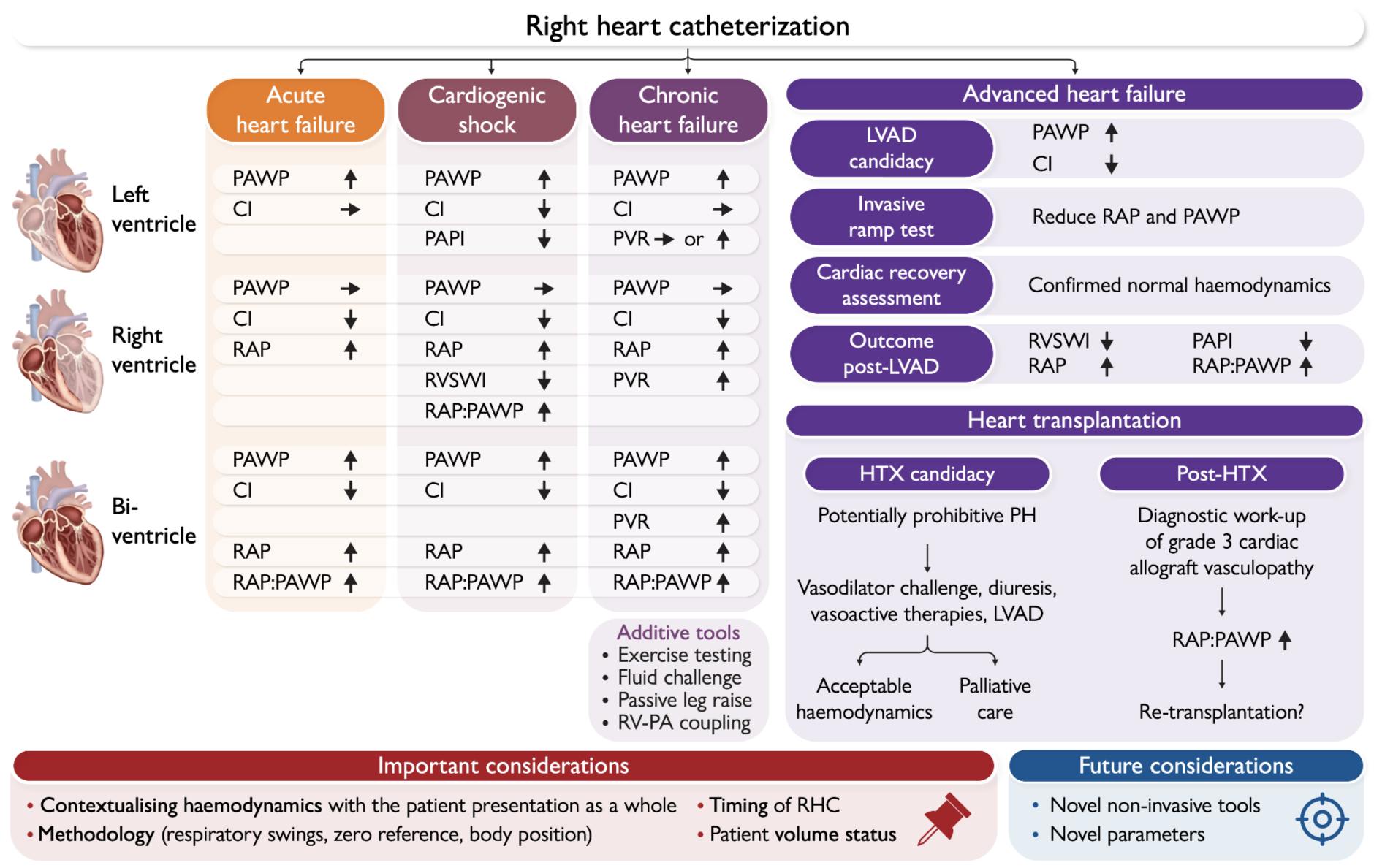 วิกฤติ-ฉุกเฉิน - เจาะลึก RHC (Right Heart Catheterization)... | Facebook