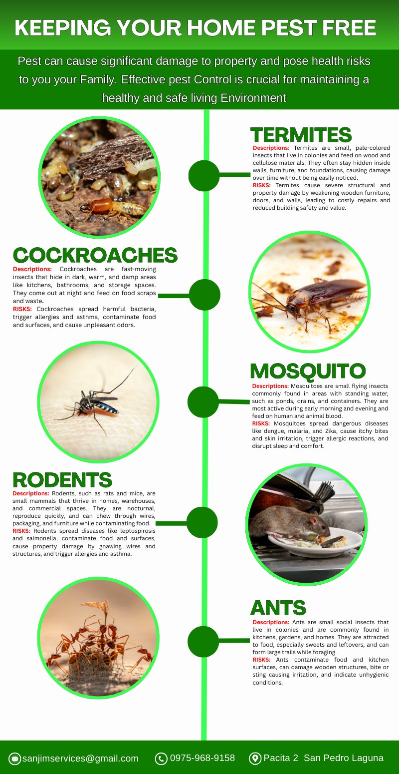 𝐒𝐀𝐍𝐉𝐈𝐌 - Pest can cause significant damage to property and pose health ...