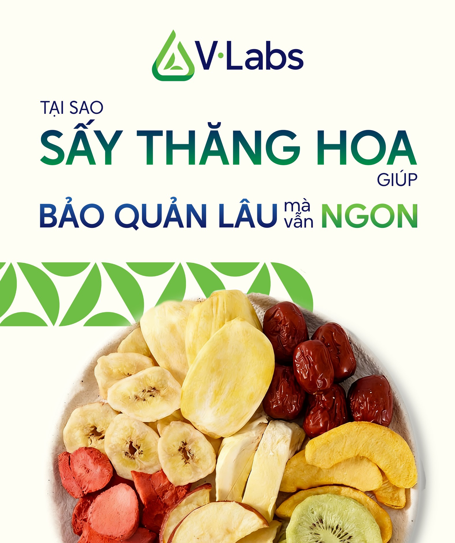 V•Labs - Nhà Máy Công Nghệ Thực Phẩm Xanh