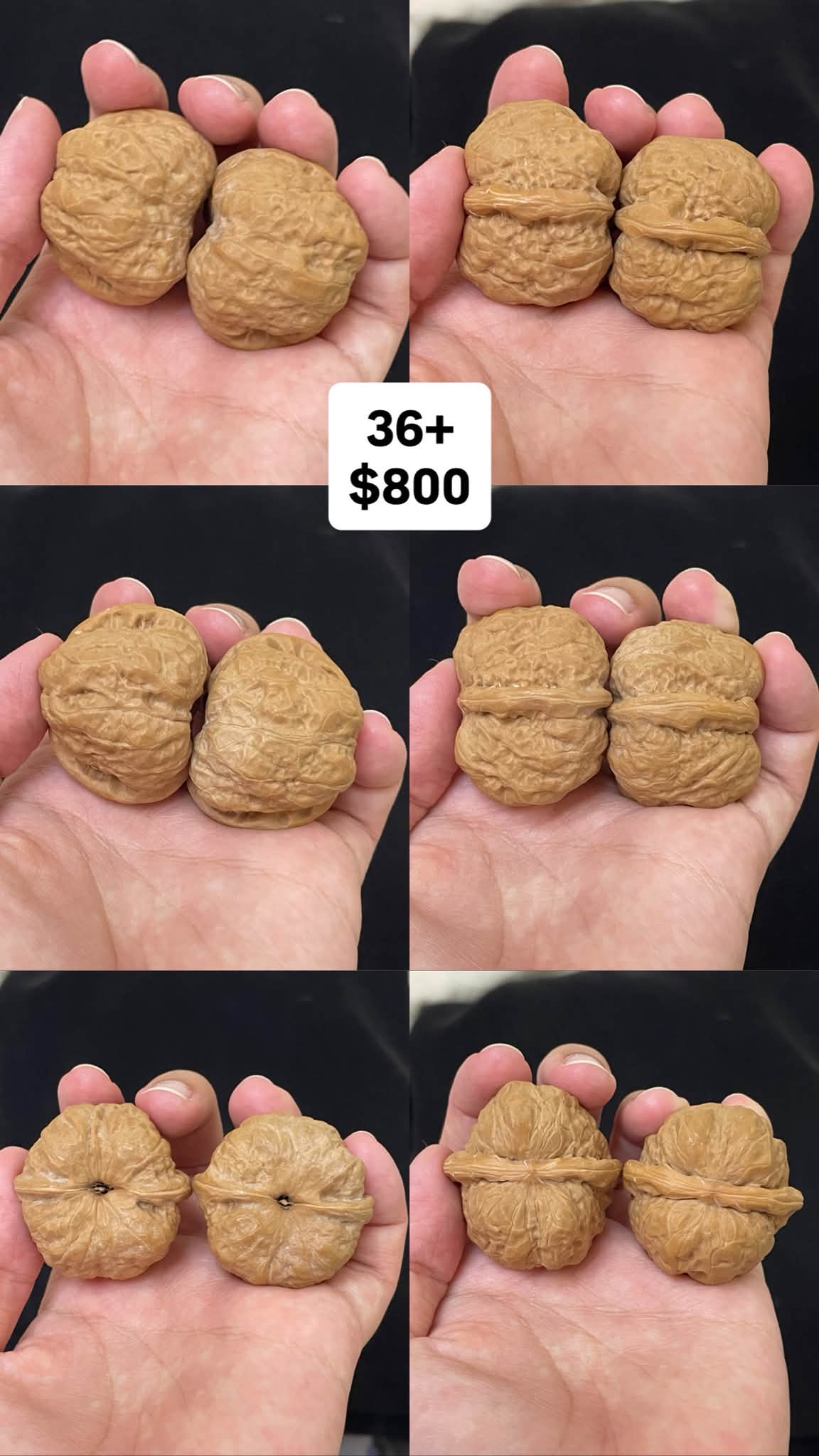 蛤蟆头——文玩核桃浅谈各位核友大家好，今天给大家分享的品种：蛤蟆头