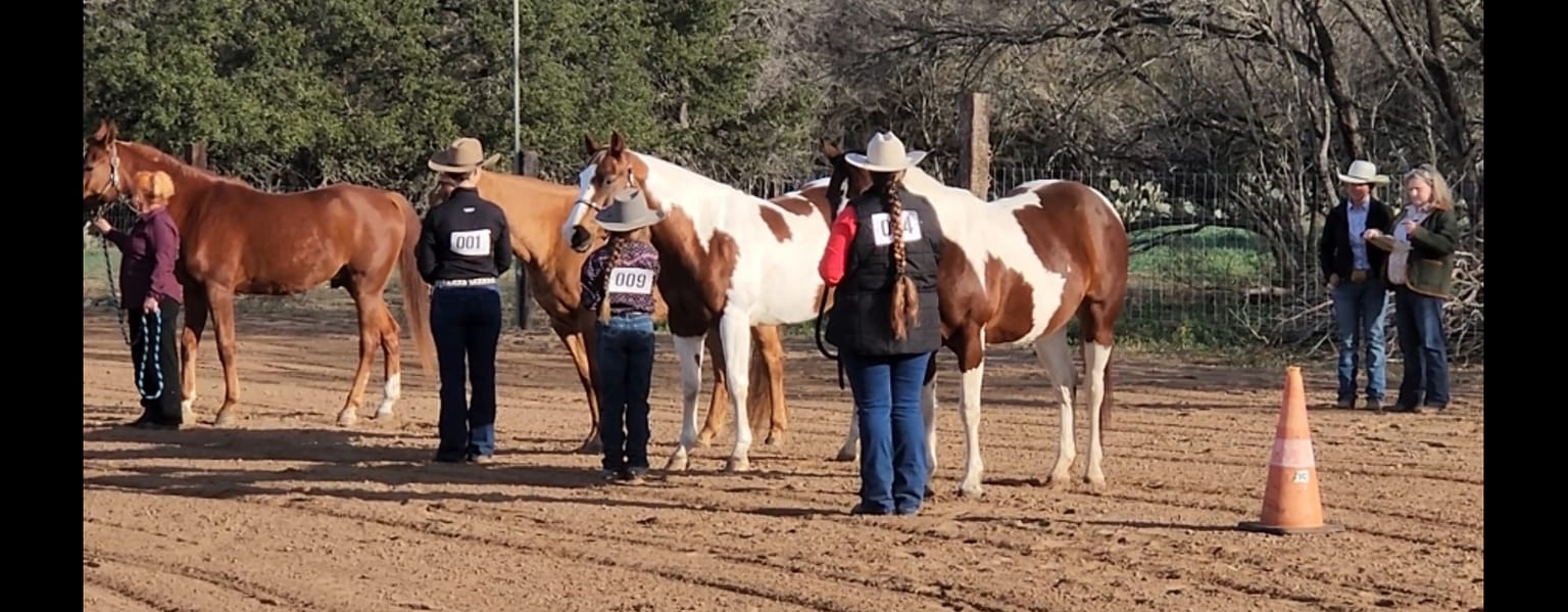 Live Oak Creek Ranch open arena days | Facebook