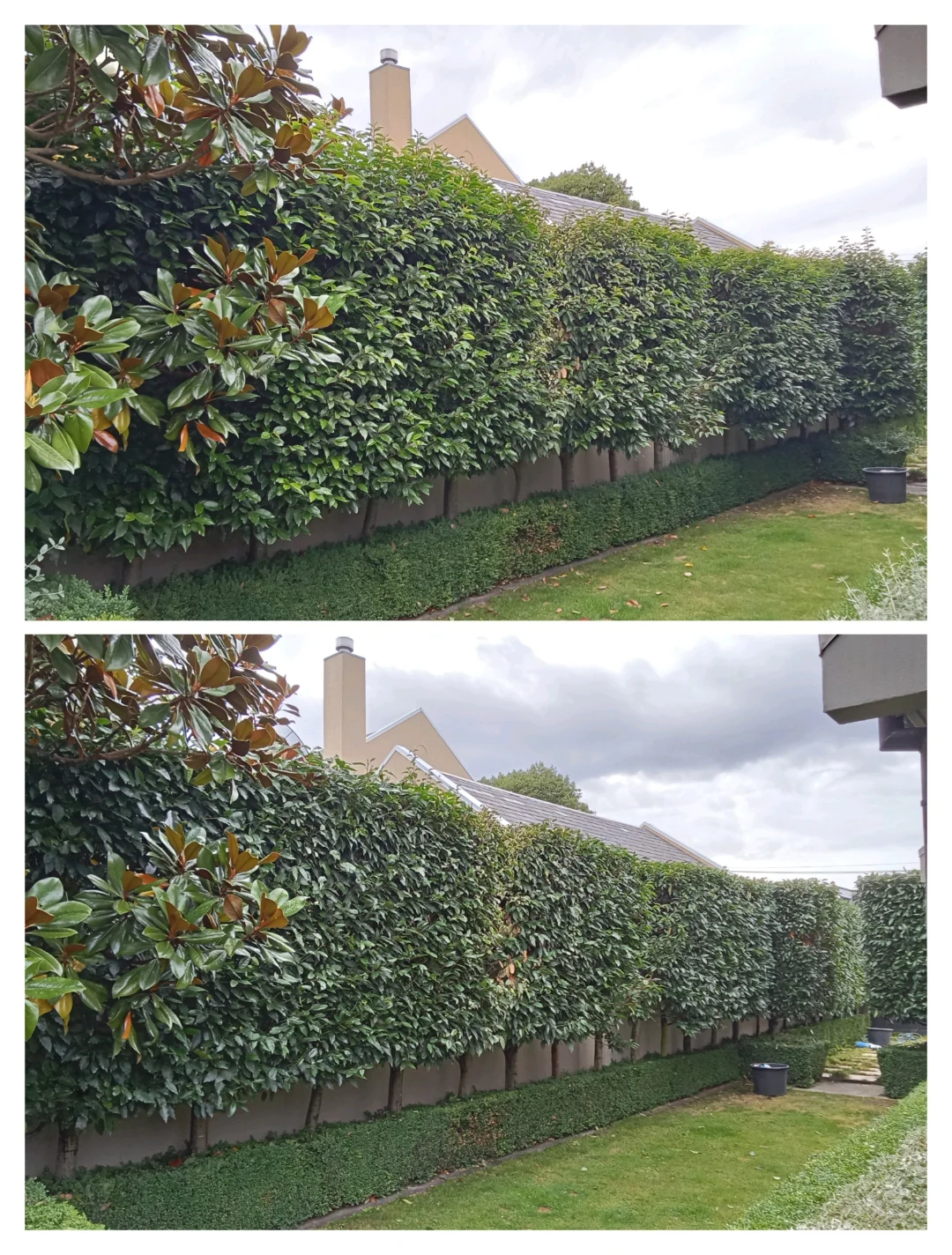 Curated visual reference: The Urban Trimmer Photo Inspiration