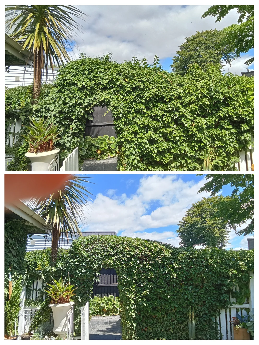 Gallery image with a fresh perspective