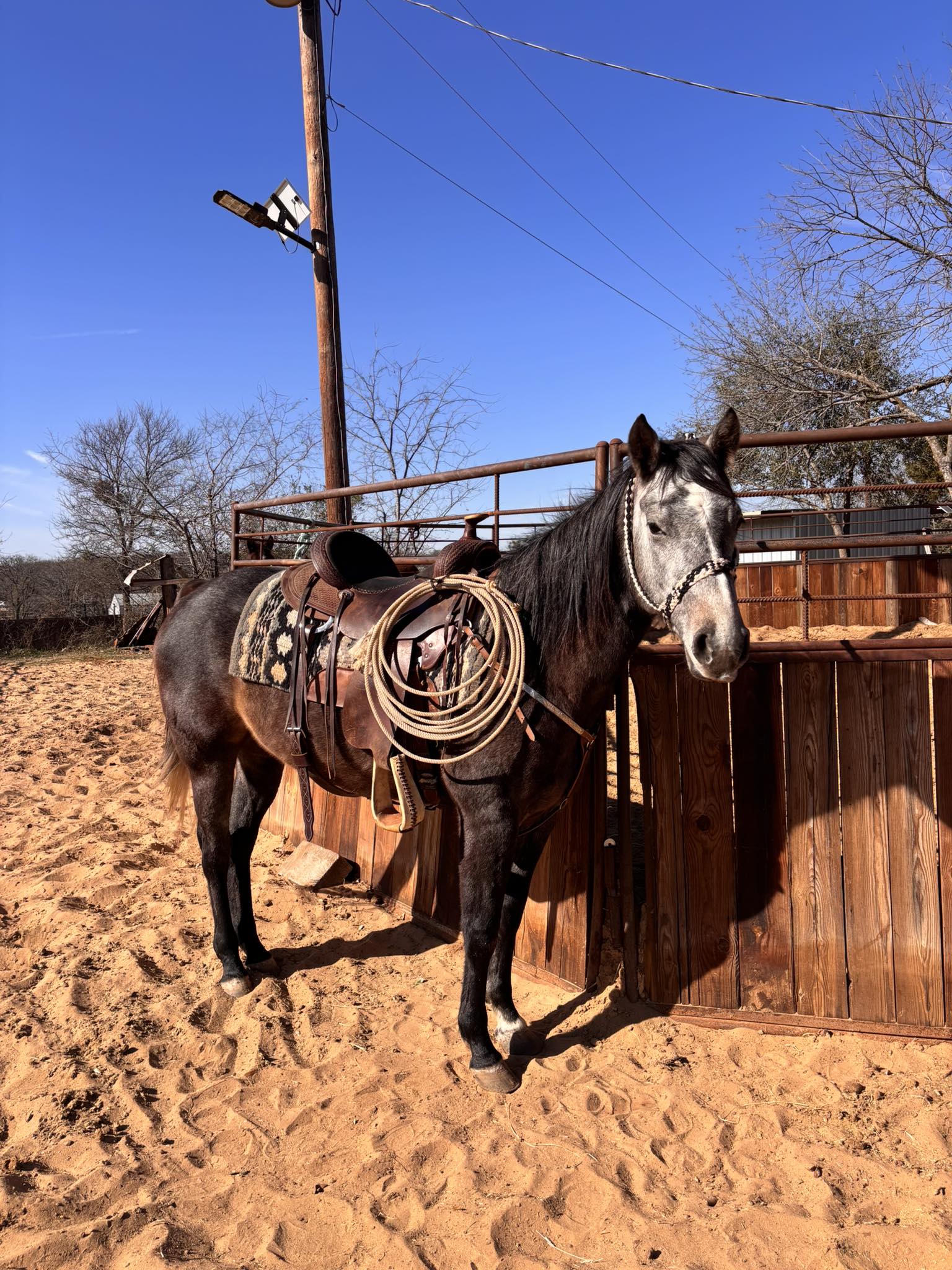Charro Boys’ Ranch | Mansfield TX