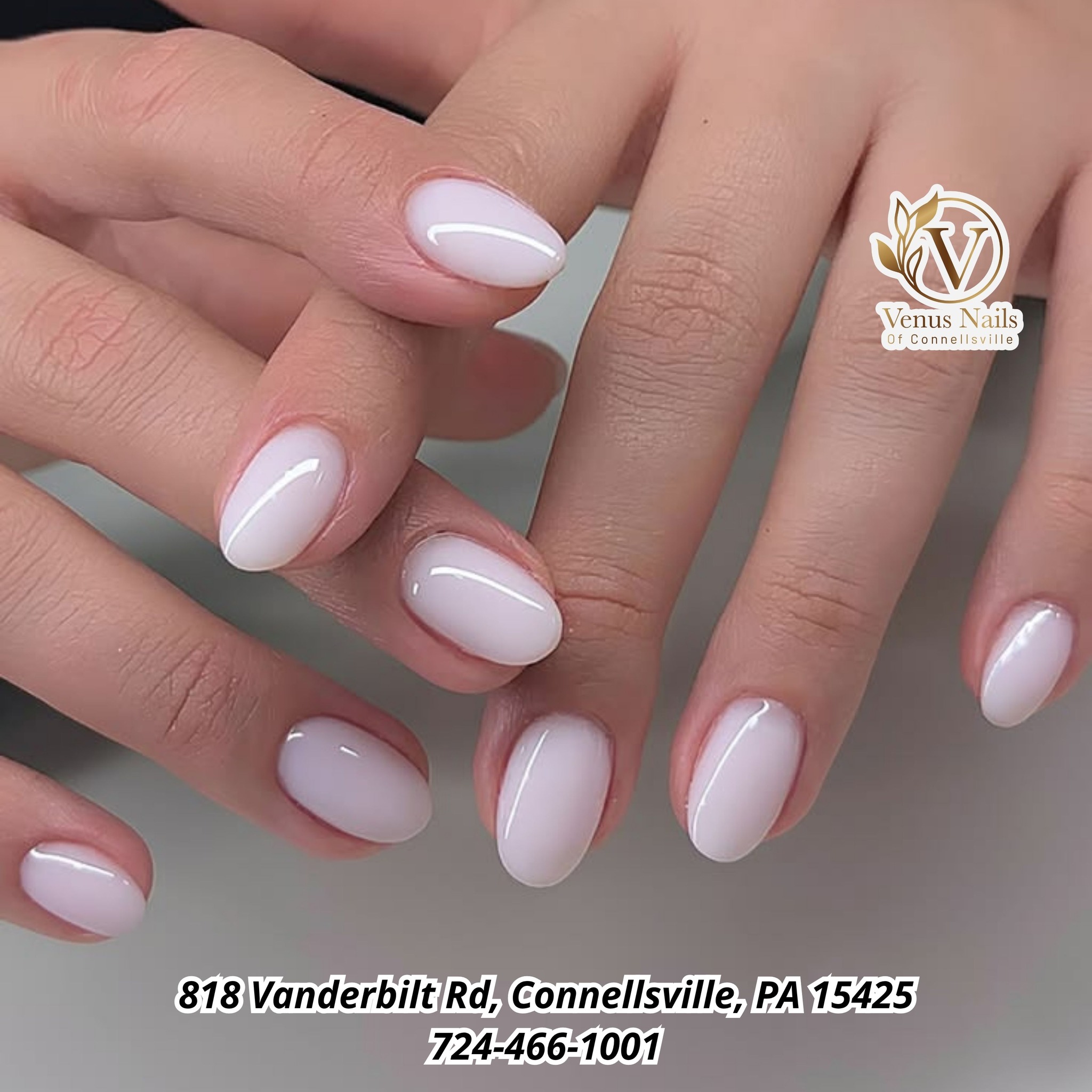 Venus Nails | Connellsville PA