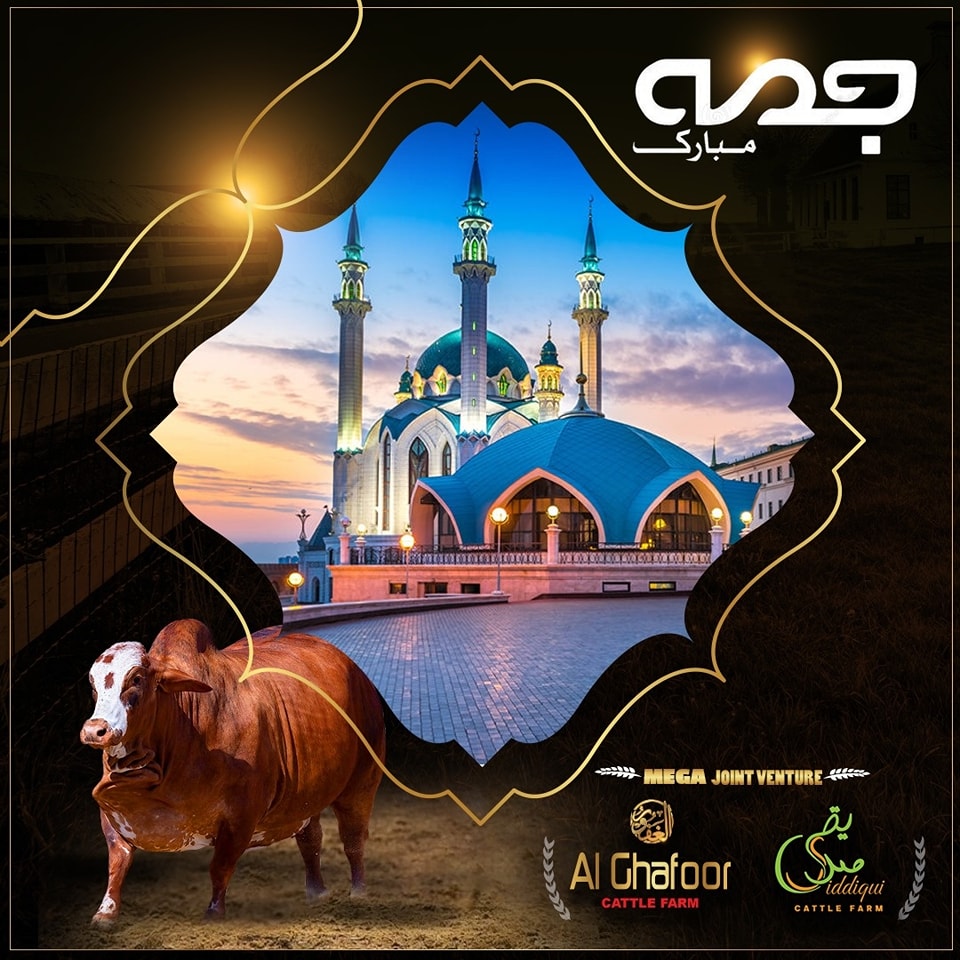Al Ghafoor Cattle Farm | Karachi