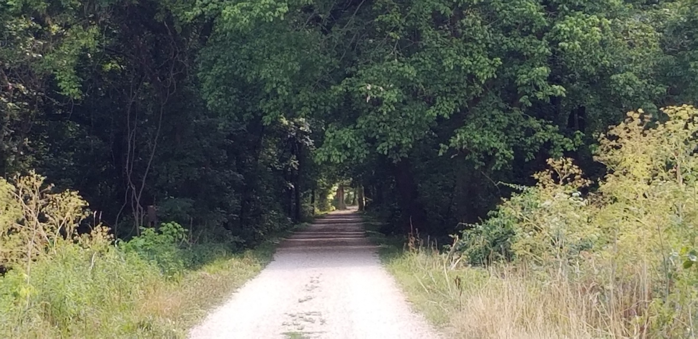 Practical Path
