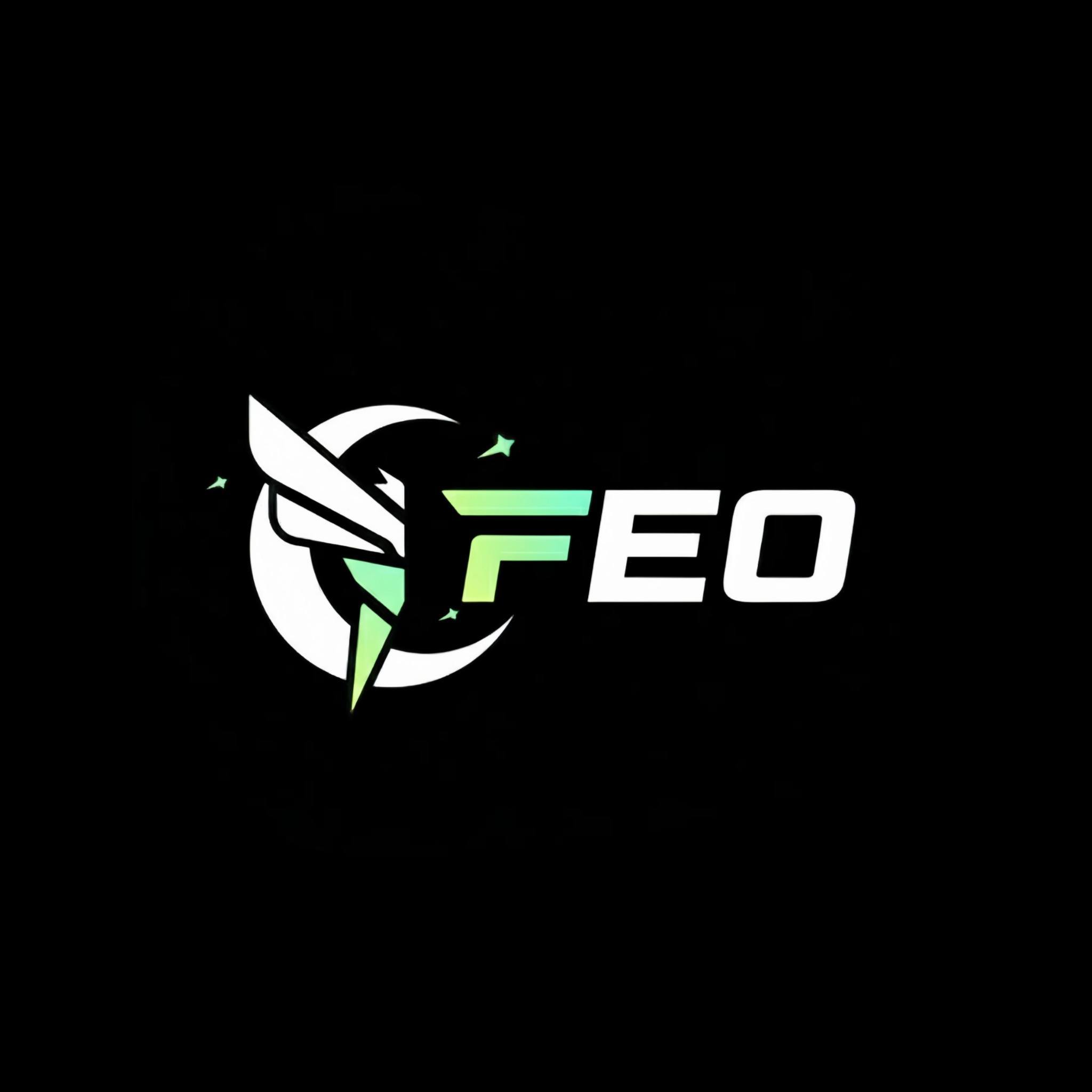 Fallen E-Sports Organisation