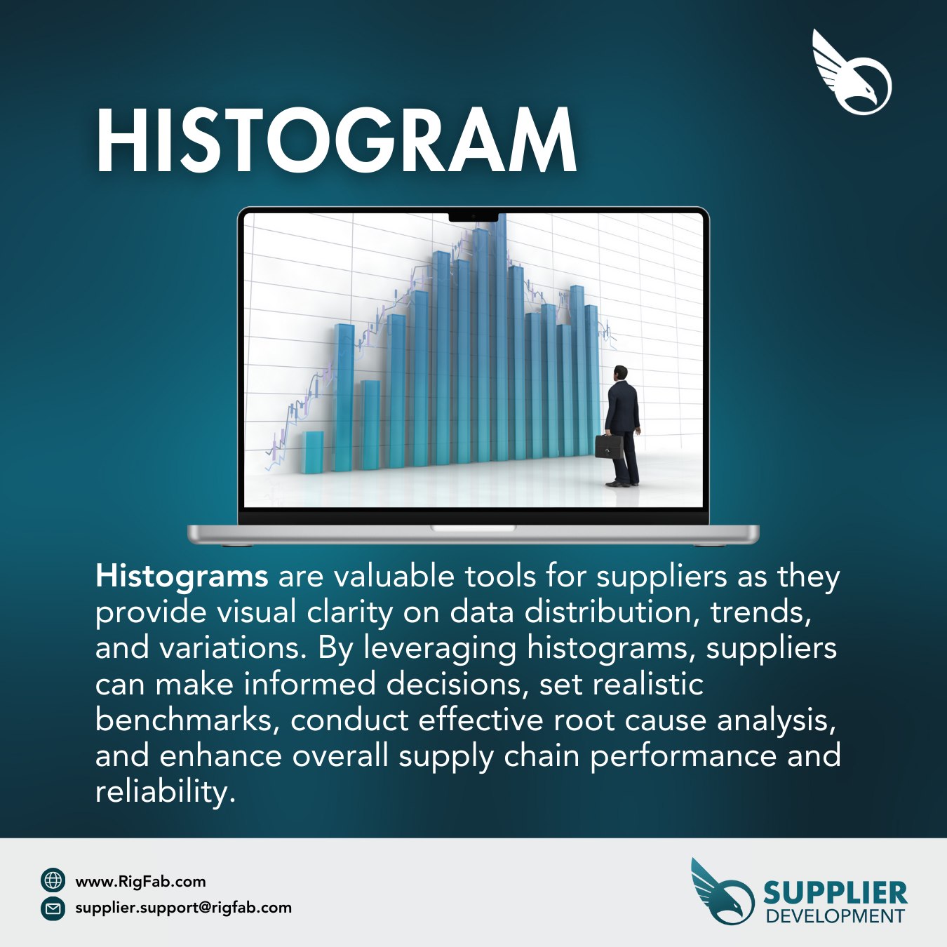 Rig - Visualize data distribution and identify trends in supplier ...