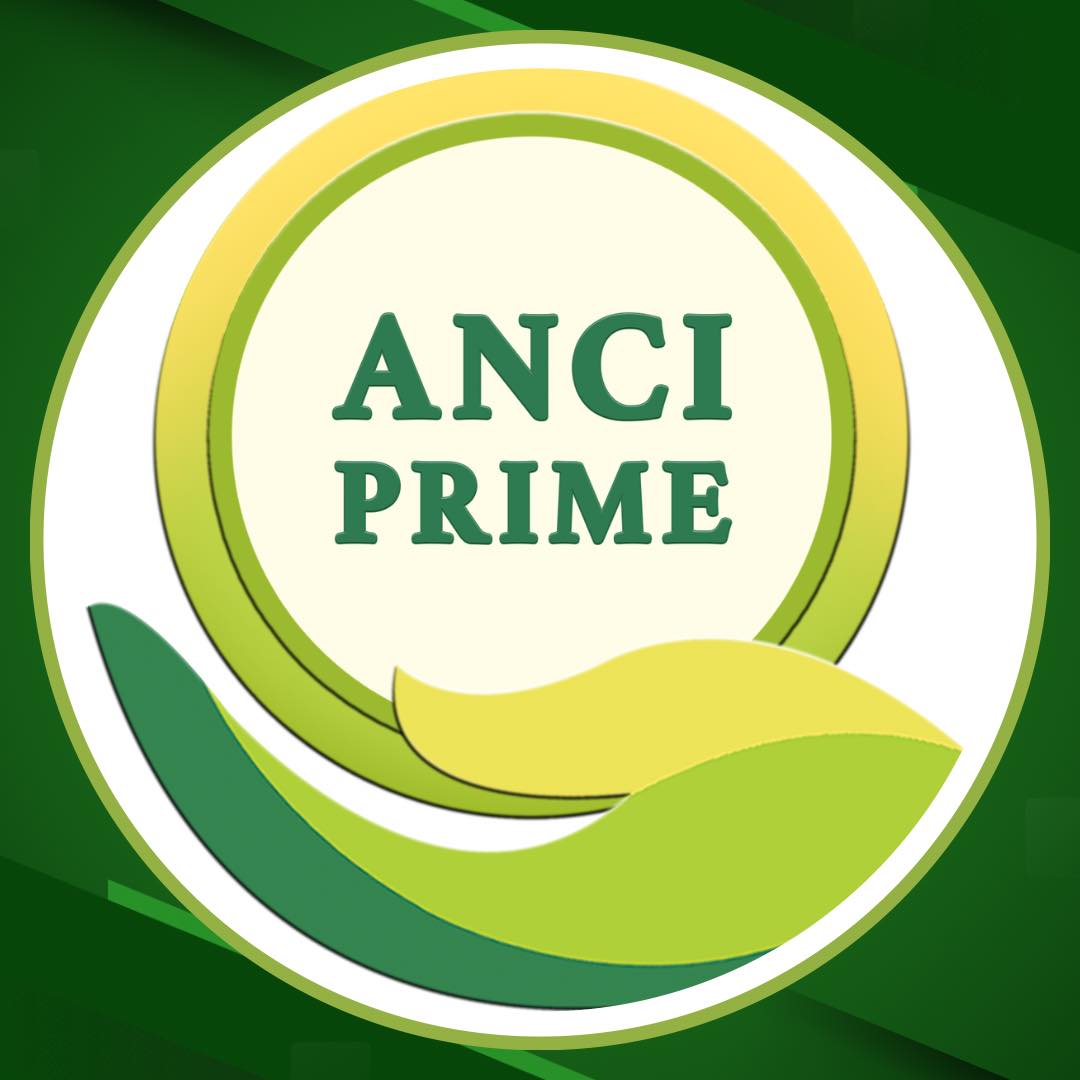 ANCI Prime Sales & Marketing Corporation