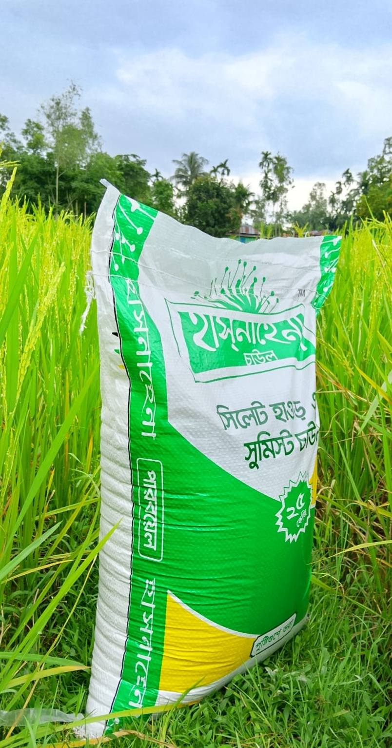 Rashni Auto Rice Mills Ltd