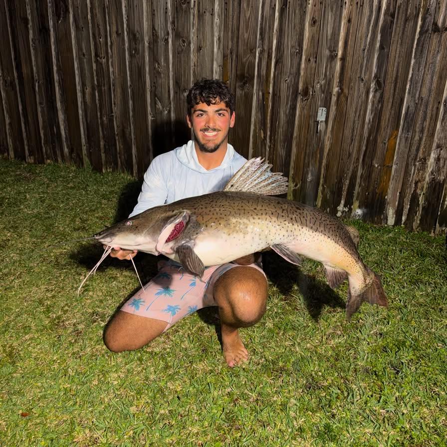 Caught this in a cast net | Facebook