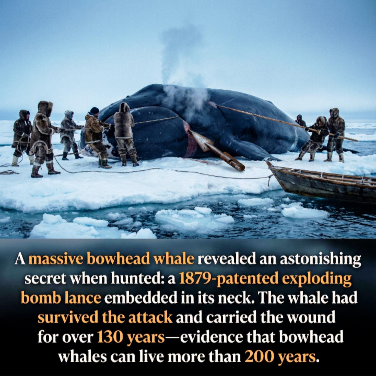 History - A living time capsule from the age of steamships. 🐳 When ...