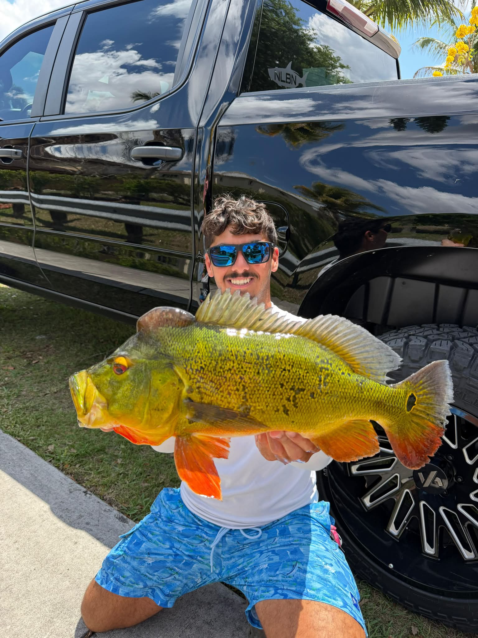 d shock spinning combo Shimano Backbone Elite 24kg Overhead Rod Fishing Lure 3d Printer Angel-Tackle Color classification:Big E pink yellow 7.5g three copies