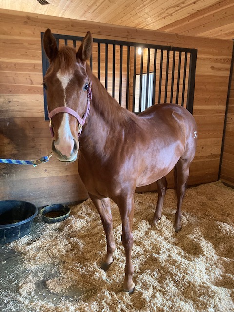 Running River Ranch LLC | Genoa NV