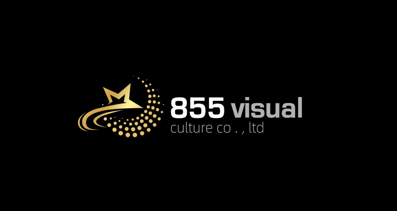 855 Visual